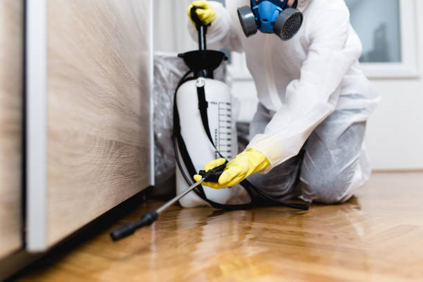 Best Cockroach Control Services  in Walnut Hill, TN