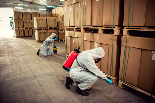 Best Wildlife Control Services  in Walnut Hill, TN