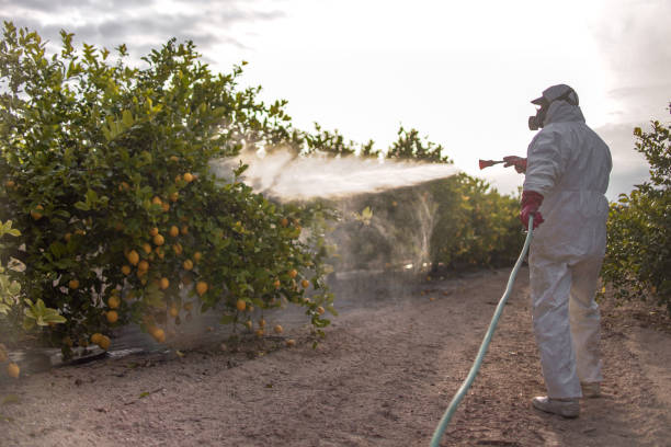 Best Pest Control Near Me in Walnut Hill, TN